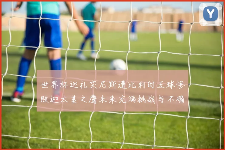 世界杯巡礼突尼斯遭比利时五球惨败迦太基之鹰未来充满挑战与不确定性
